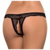 String Miamor